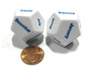 Set of 2 D12 Months of the Year Setting Educational Dice White with Blue Letters