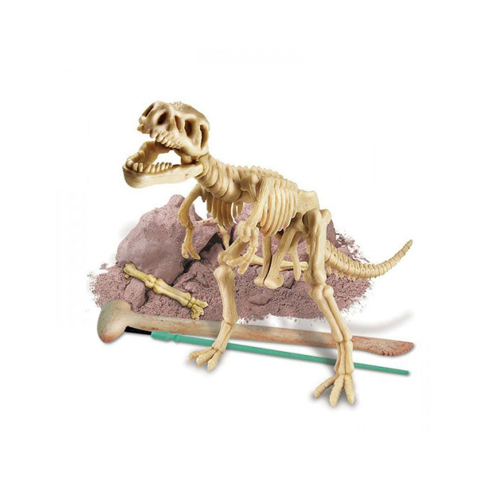 4M Kidzlabs Dig-A-Dinosaur Series I Tyrannosaurus Rex T-Rex #3545