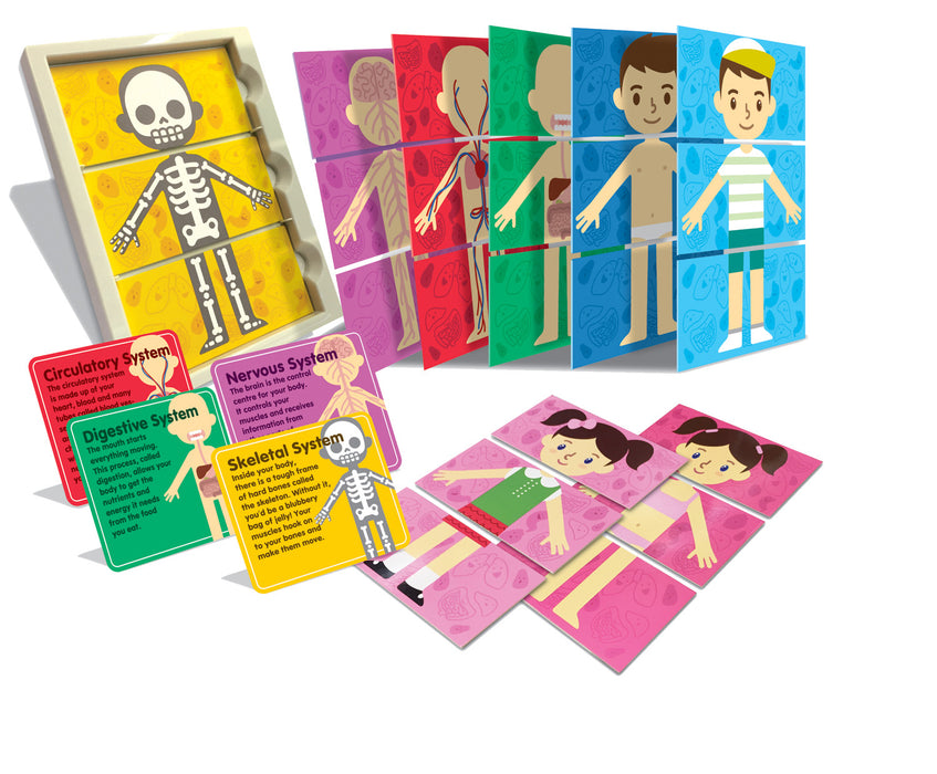 4M ThinkingKits STEM Learning Tool - My Body Anatomy Systems