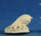 Reaper Miniatures Prarie Tick Queen #91006 Savage Worlds Plastic Mini Figure